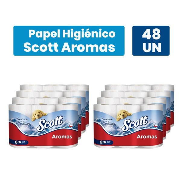 HIG. SCOTT AROMAS DH 22MT 6 X 8 (48 ROLLOS)